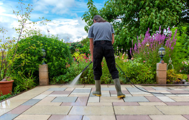 Best Animal Enclosure Cleaning  in Gloucester City, NJ